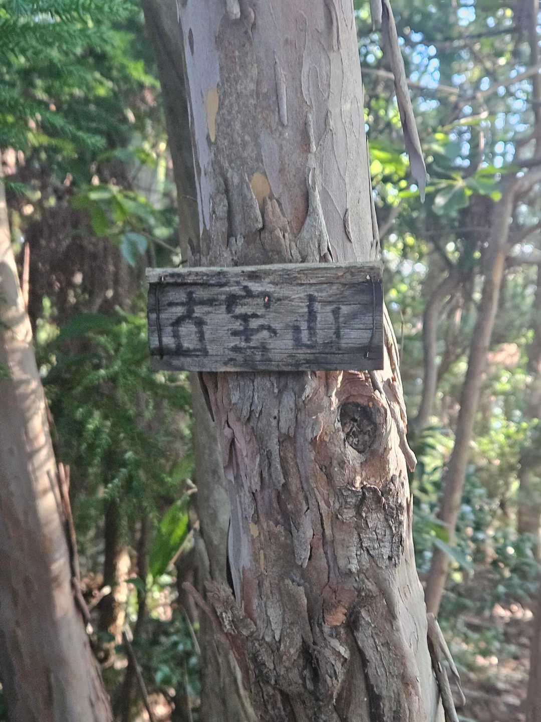 山頂