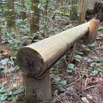 十人十色の長ベンチ😁長い〜