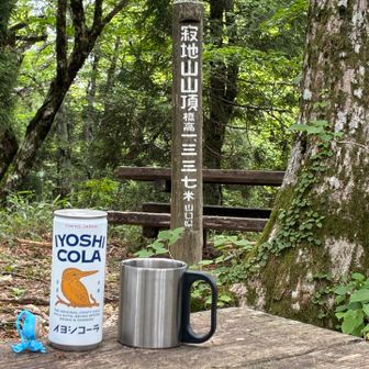 最近ハマっているコーラを、冷やして持って来ましたよ
コーラに人生を捧げた漢方職人のお孫さんが100年前のレシピを基に作る国産クラフトコーラ
ライム、レモン、シナモン、クローブ、カルダモン、コラの実、ナツメグ、コリアンダー、バニラビーンズ、黒胡椒、　高麗人参や霊芝も入った、何だか身体に良さそうな？コーラなんです
コップに注いで飲んだ方が、スパイスの香りが立って美味しいです