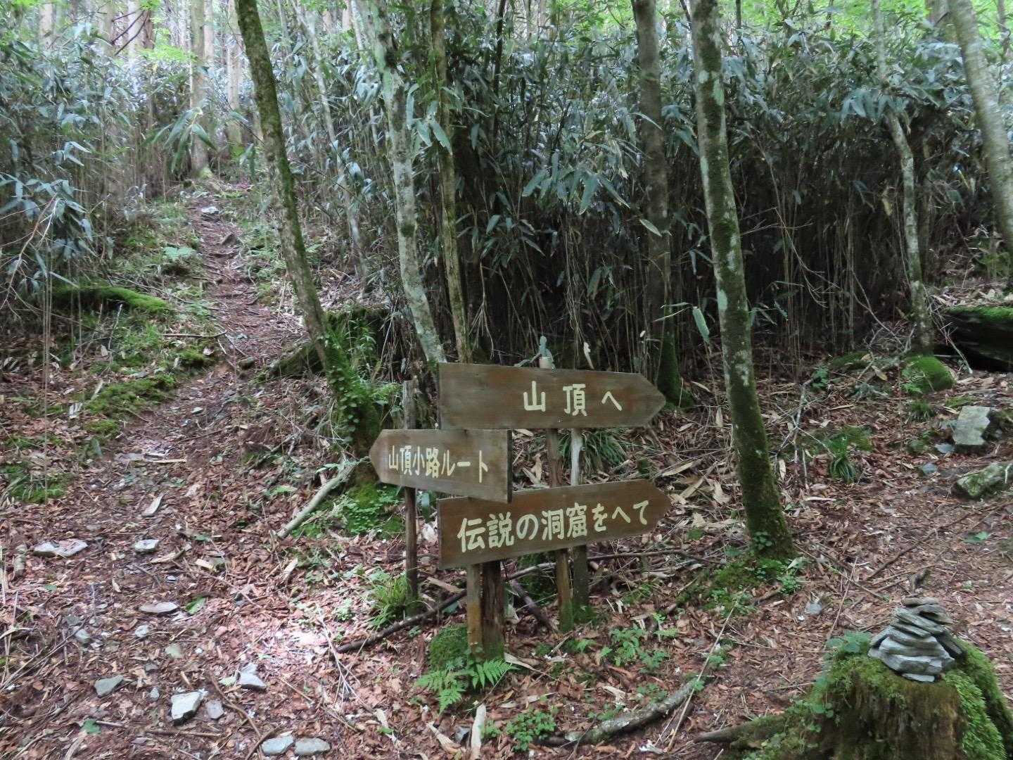 分岐。
伝説の洞窟…どんだけ推しとんっ😁

って言いながらもちろん見に行きますよ

嬢は帰りこの左の道から下山します