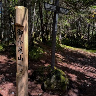 御小屋山ちゃく
気を抜かずに歩きます