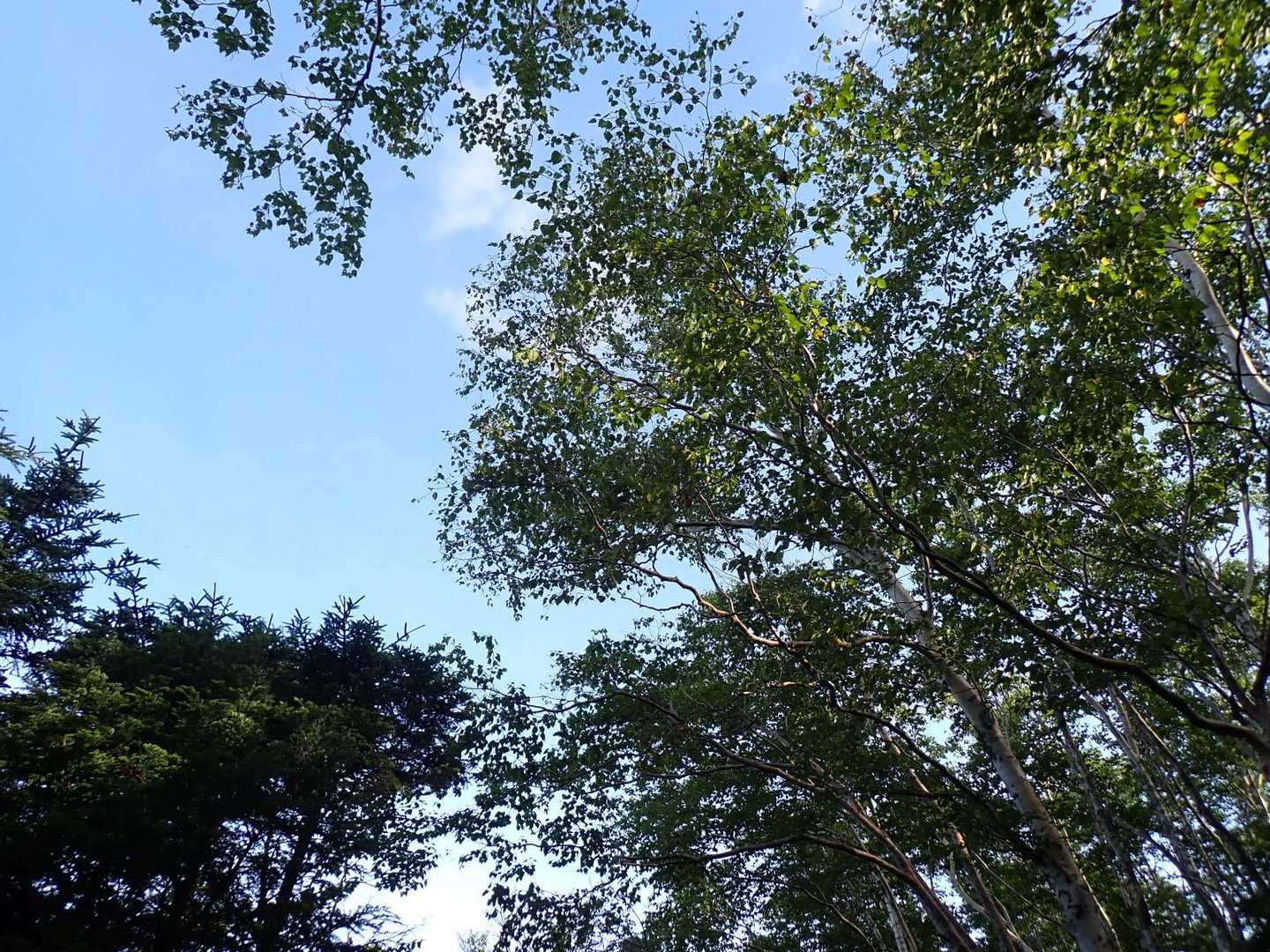 空が明るくなって来た！