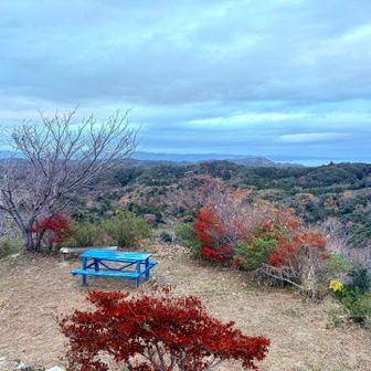 山頂からの眺望