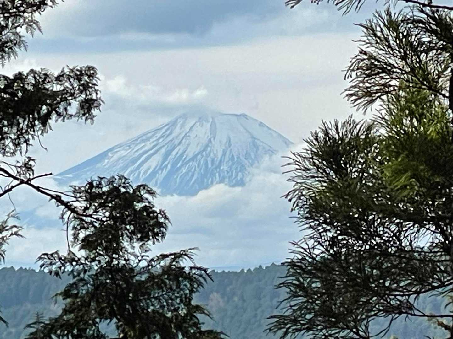 途中から富士山🗻が見られ、パシャ📷