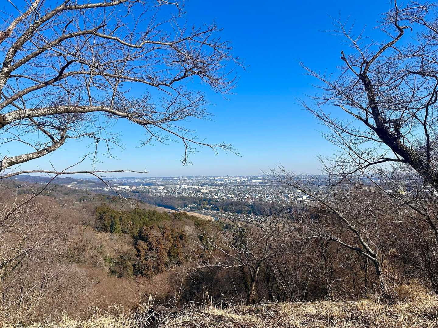 相模原市の街並み