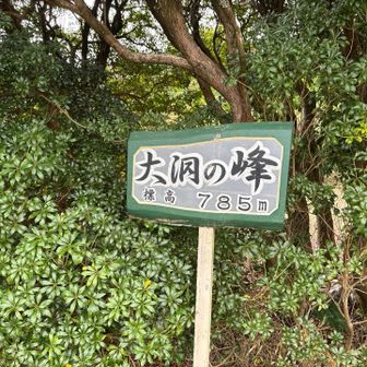 大洞の峰に到着❗️