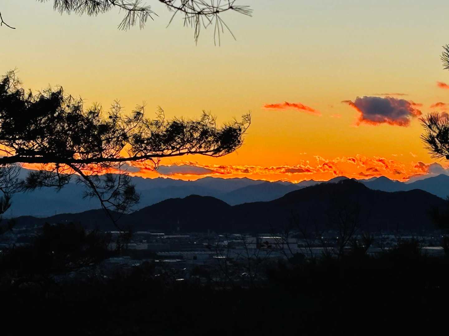 だってこんなに真っ赤🌅