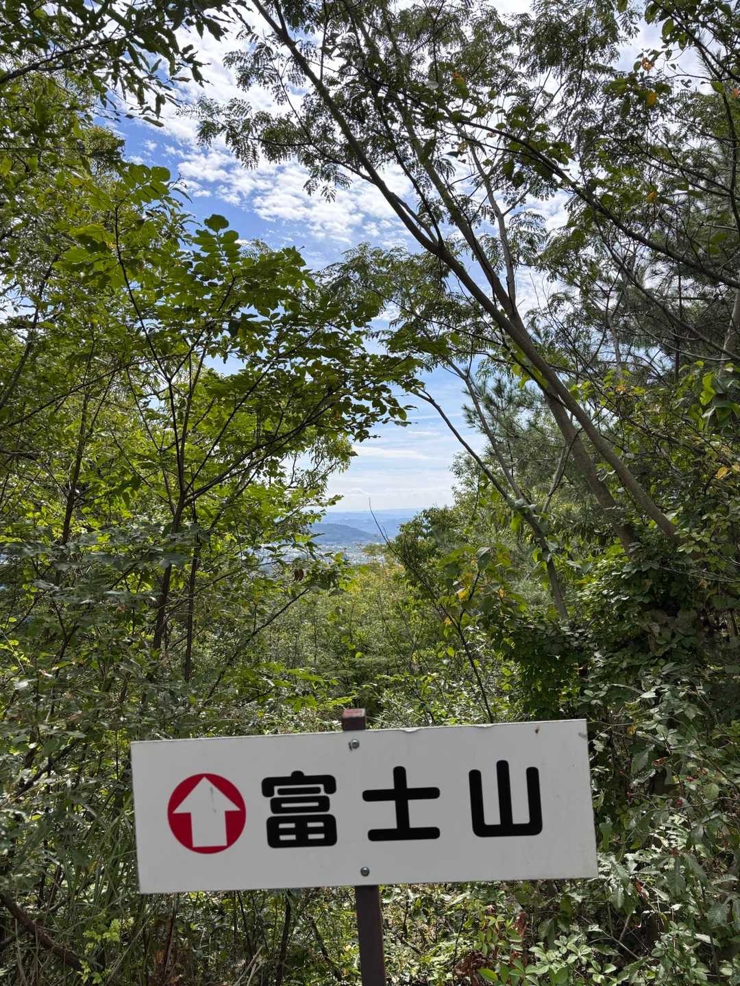 富士山見えるポイントらしい