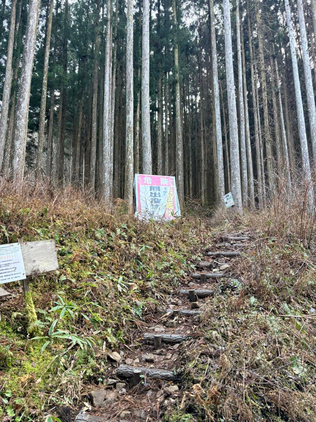 観音峯登山口-観音峯山-法力峠-稲村ヶ岳登山口 縦走コースの写真
