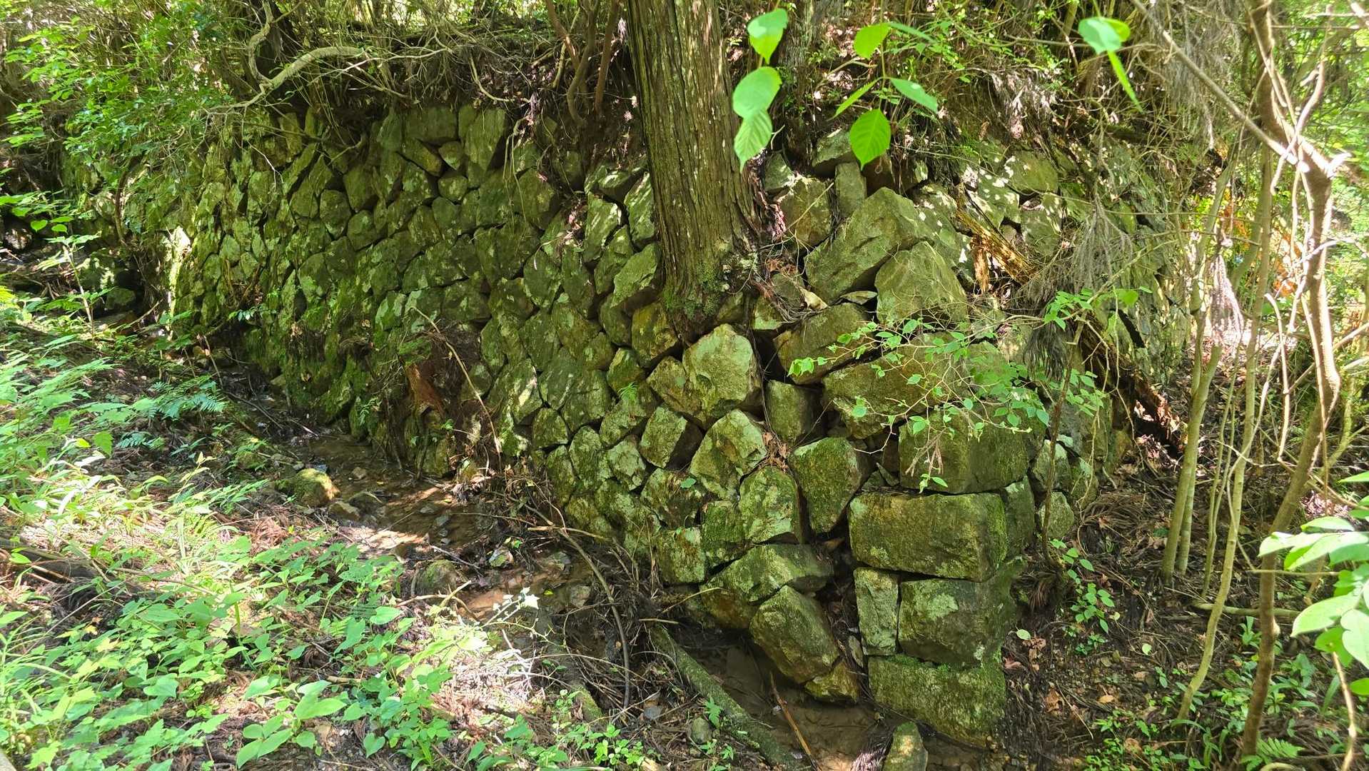 久田見山 往復コースの写真
