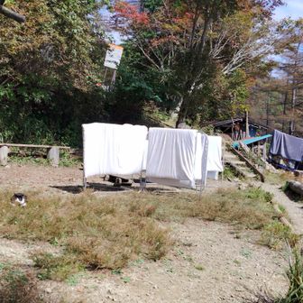 お世話になりました！ありがとうございます。にゃんこ達も元気でね～（また会えるかな？）
