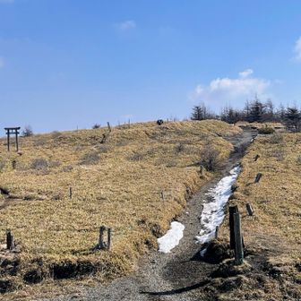 山頂周辺はこんな感じ