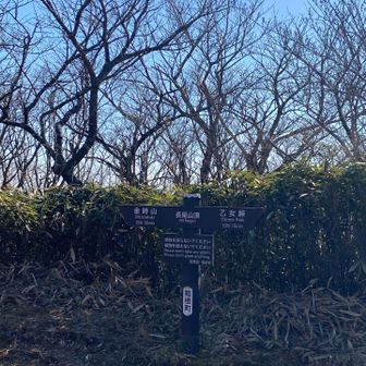 長尾山山頂は何もない広場でした