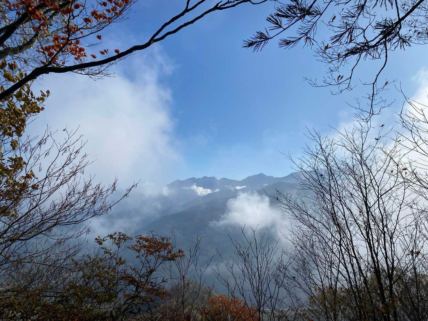 また隠れそう…！