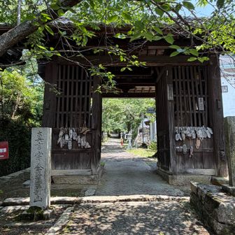 今高野山楽しかった