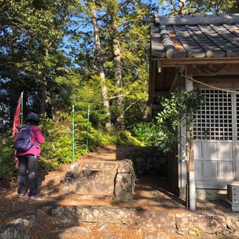 愛宕神社に到着。山頂はこの奥にあるそうな。