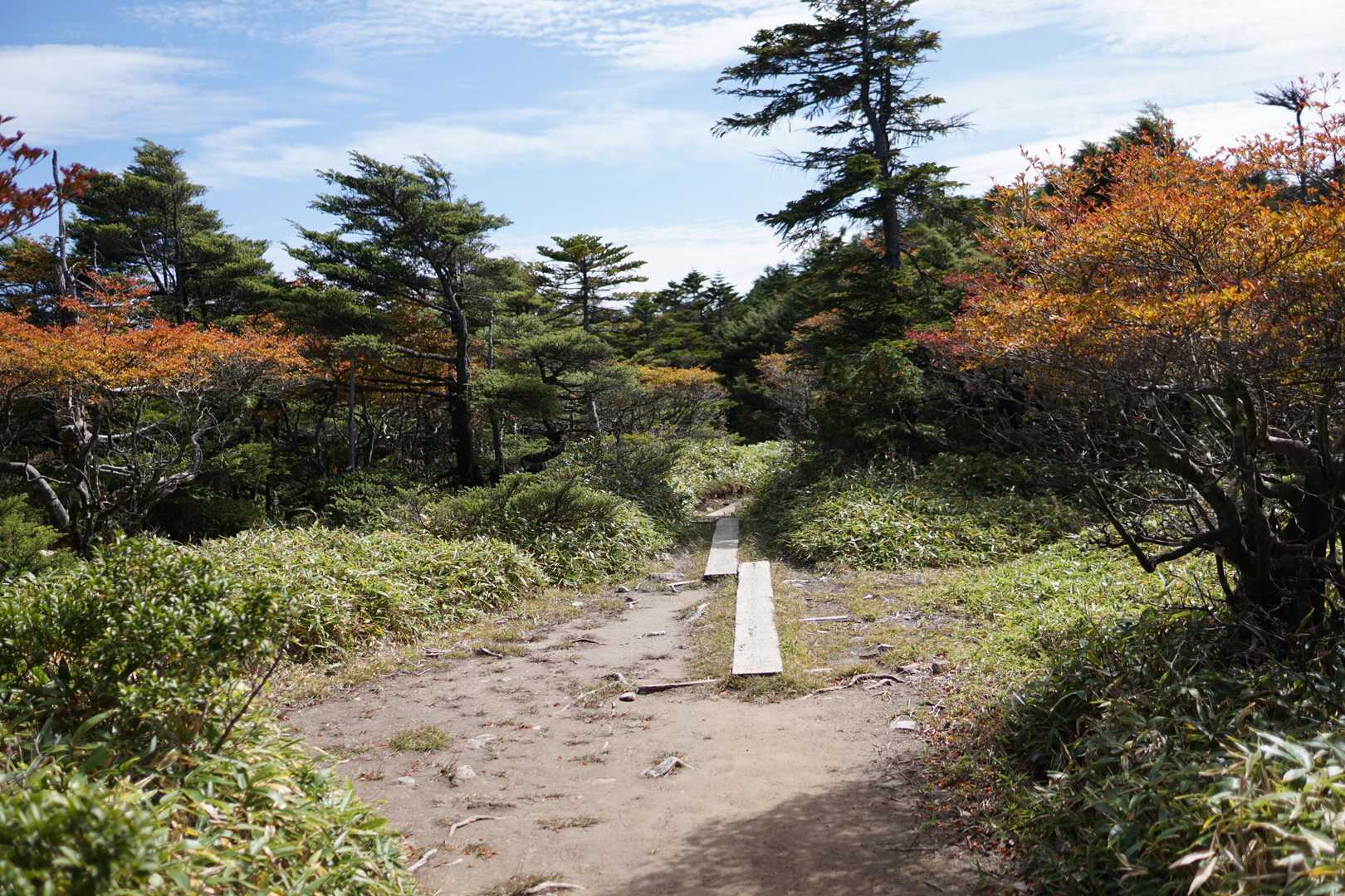こんな平らな道もあります。どうせならこの板をぬかるみのところにおいてほしかった🤔