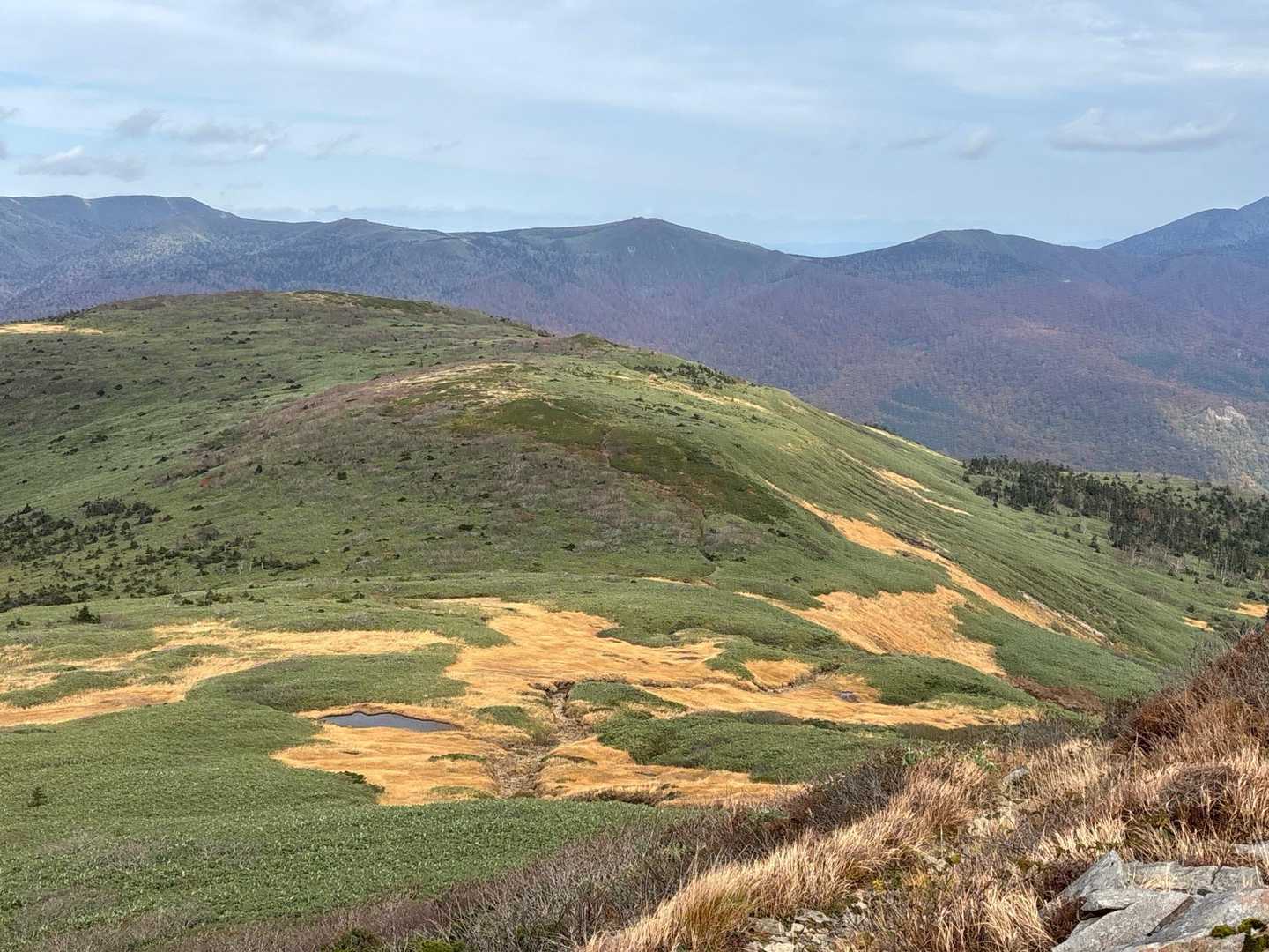 烏帽子岳登山口-烏帽子岳 往復コースの写真