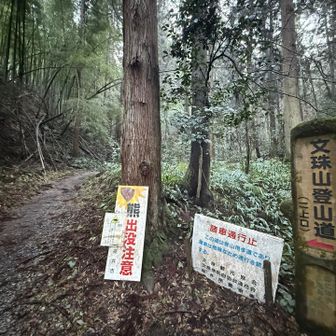 今日は王道の二上口登山道からスタート▶️