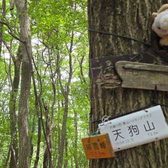 天狗山❓👺
地図には、掃雲山
登山口は、奏雲山とある。