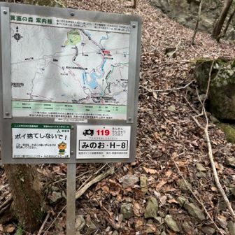 最後の登りじゃー！