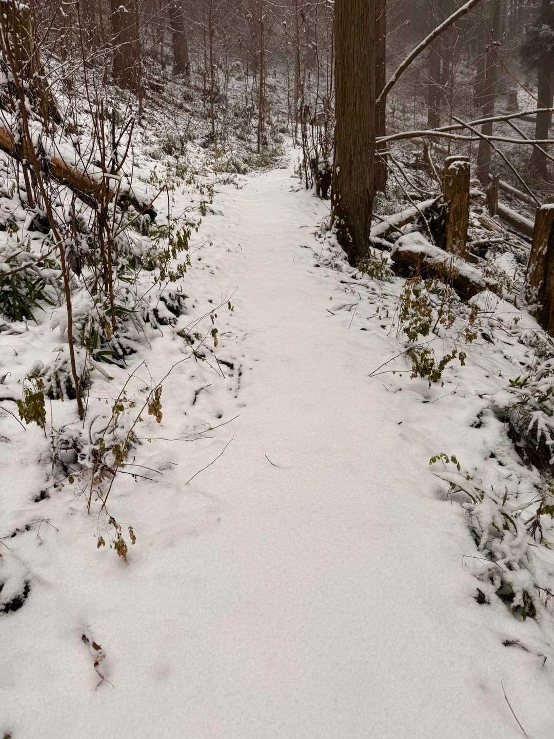 まさかしっかり雪があるとは思いもよらず