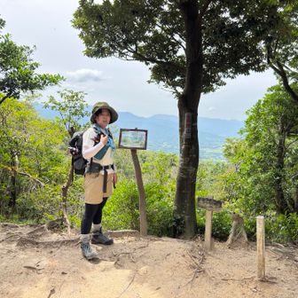 さんちょ