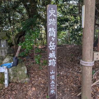 小岱山主峰の筒ヶ岳に着きました🙌
　501m
　九州百名山⛰️