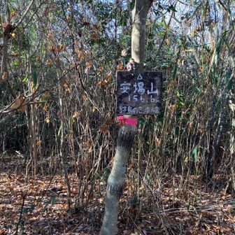安場山です