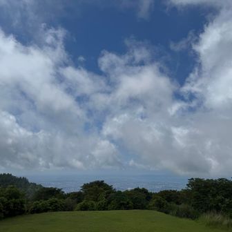 風でどんどん雲が流れていく☁️
チュニジア🇹🇳戦、勝ちそうな予感😊
(予感、当たりました😉)