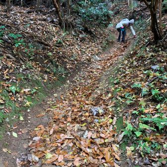 が、最後の下りは滑りやすく苦戦💦