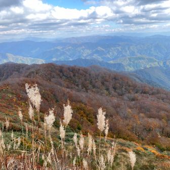 山頂からの眺め