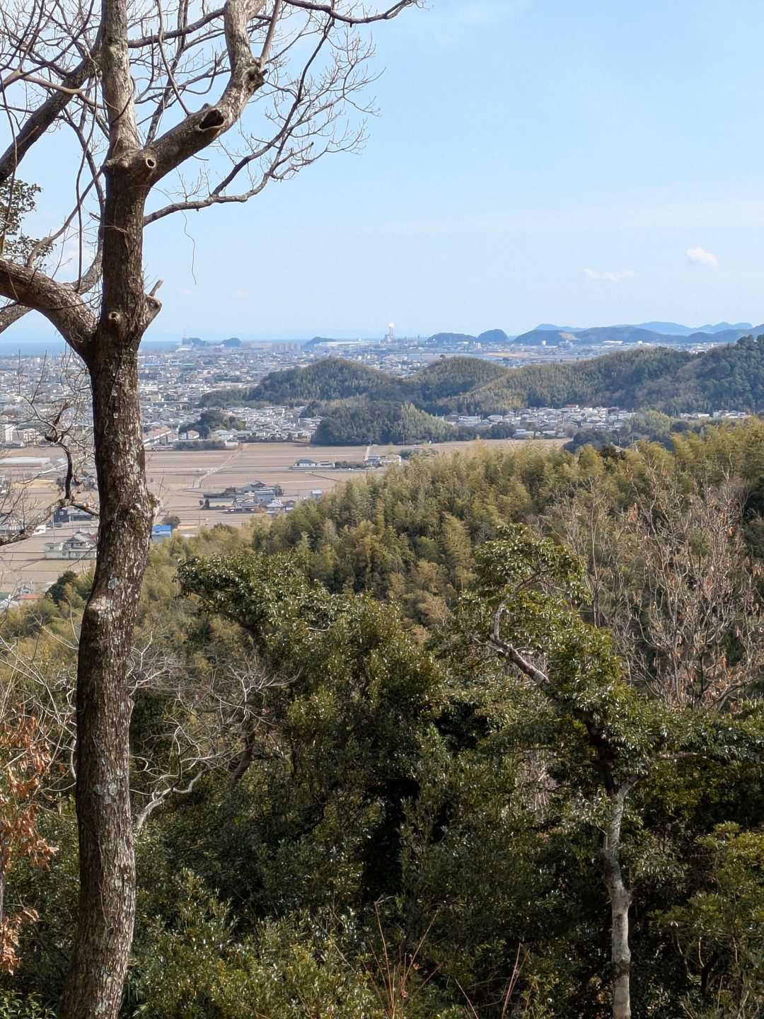 展望所からの景色