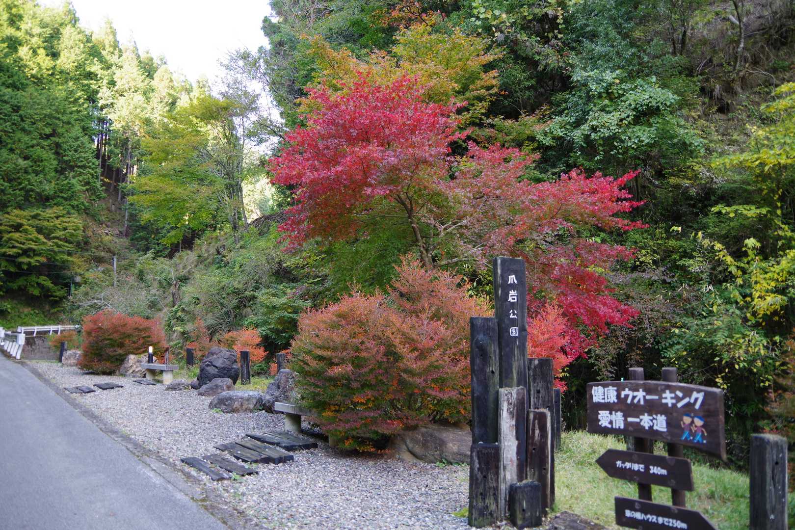佐目自然公園登山口-高室山登山口-高室山 周回コースの写真