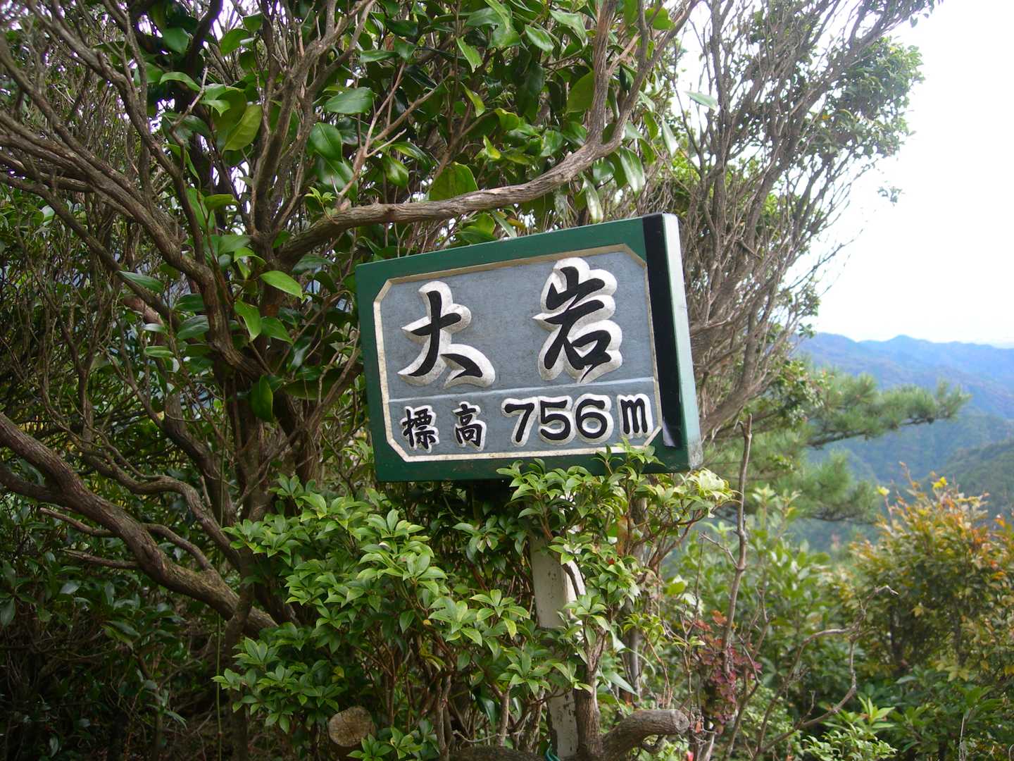 ５年ぶり
