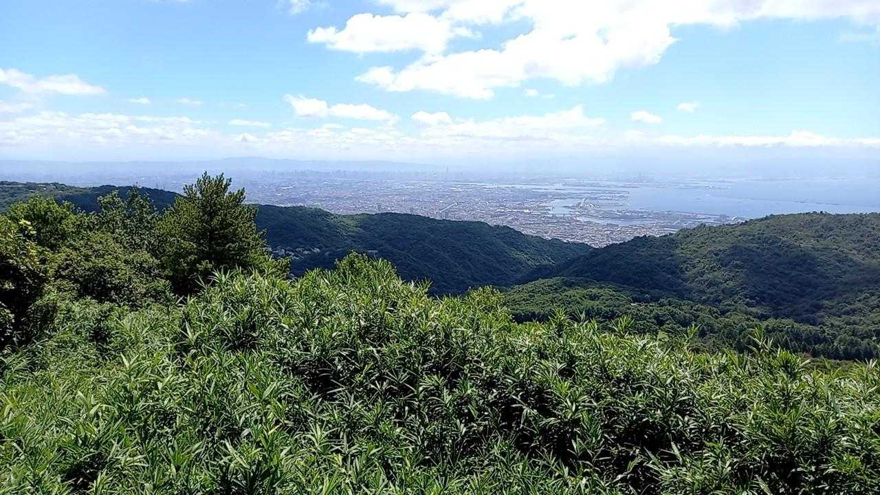 本当はここまで行ったんだけど～