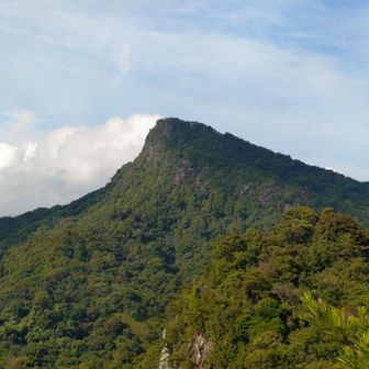 見た目は祖母山😂
次郎丸嶽へ