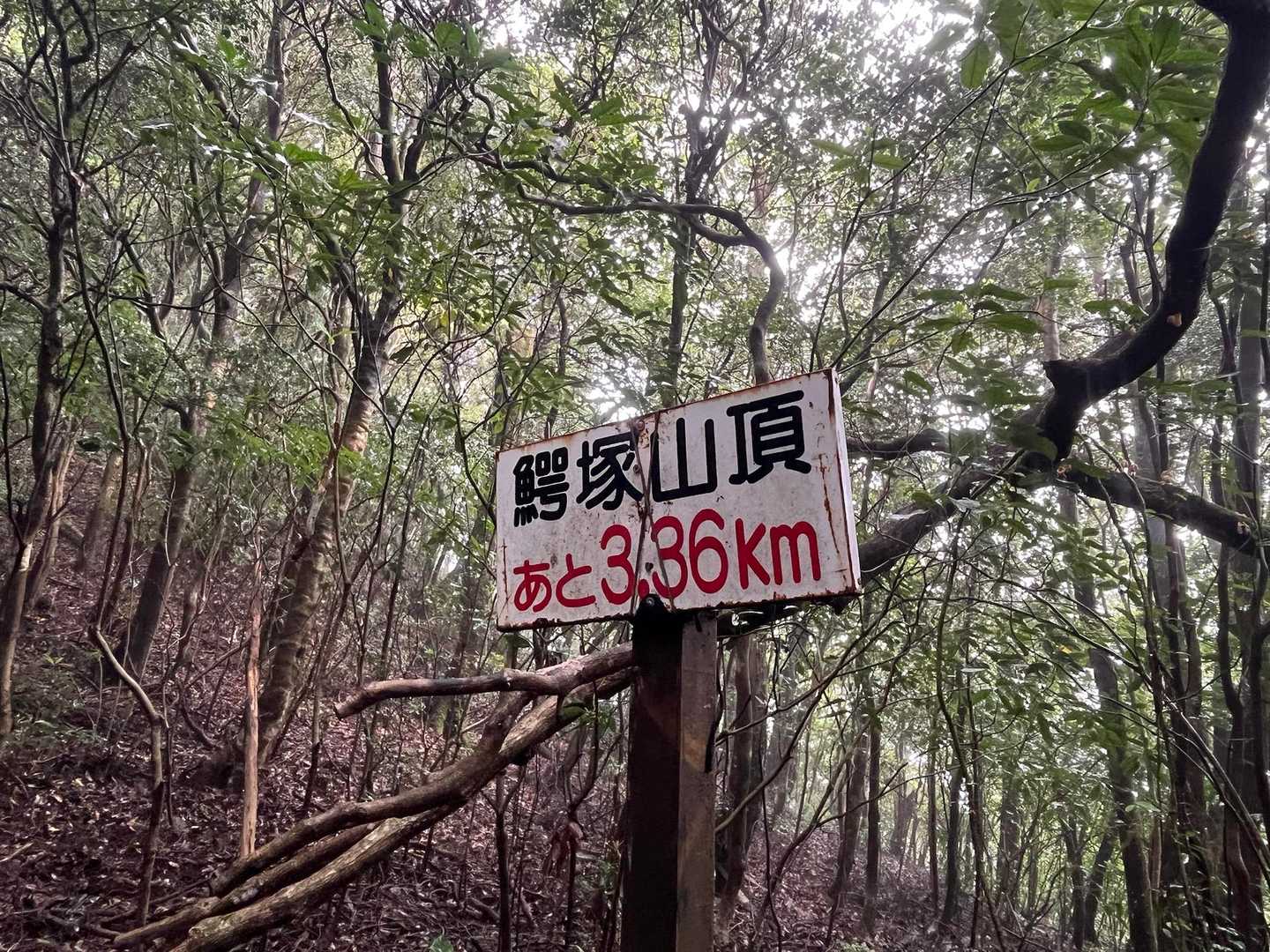 この標識、なかなか遠いよね😅