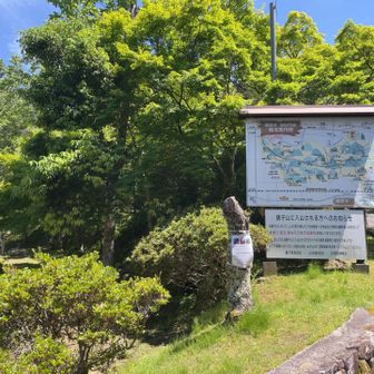猪子山公園に下りてきました