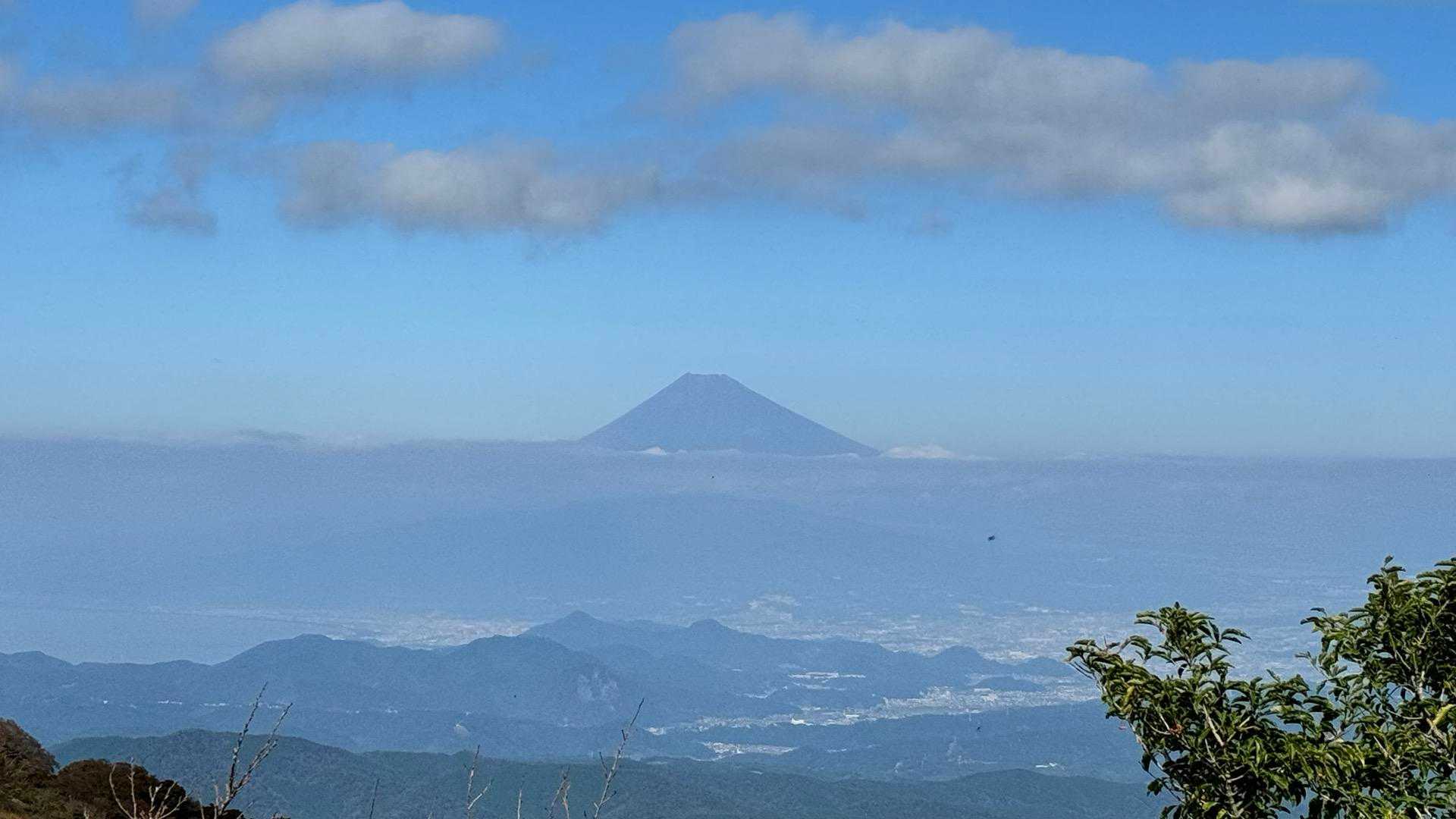 天城山 シャクナゲコースの写真