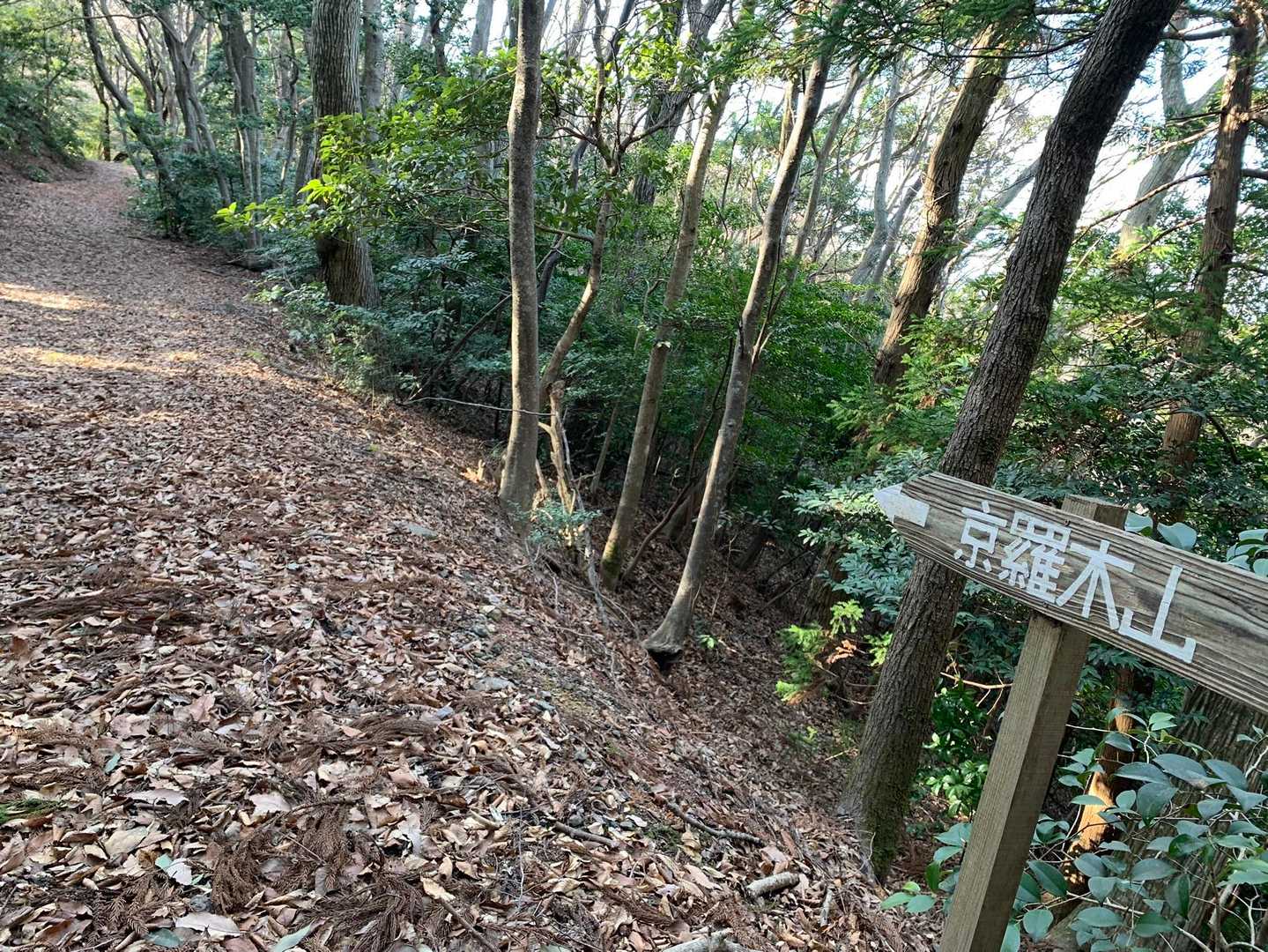 京羅木山-星上山 縦走コースの写真