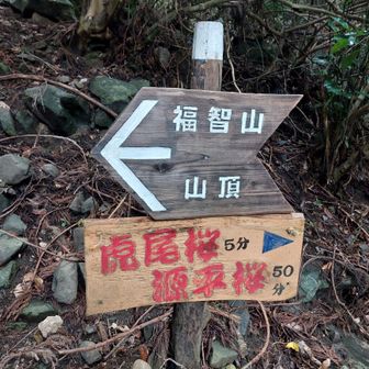こんなの観たら行くしかない。