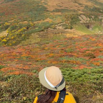 ︎✿ひなめ❤︎‬ᒼᑋªⁿꕤ︎︎•ᴗ•✿