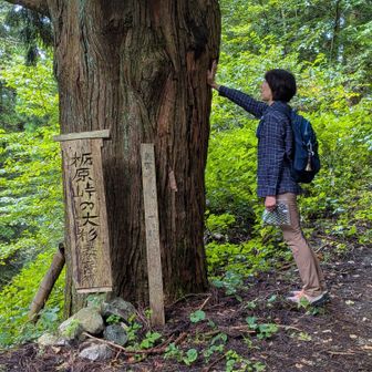 ここで折り返しまーす

先日、職場にて
新しくデイサービスに来られたおばあちゃんに「お兄さんお兄さん」と声をかけられました🤣
以前、山帰りのお風呂で男性ロッカーの鍵を渡されたこともあったけど💦

短くし過ぎたかな髪の毛🤣
（髪の毛だけの問題でもないかもしれない💦）