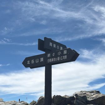 で
結構登り🈁

前回は
茨城のトヨタ系の
タケちゃんのお友達
ヒカルぅ〜と出会い
ずっと
山頂まで
女子トークしてて
あっという間に着いたから
全然覚えてなかった