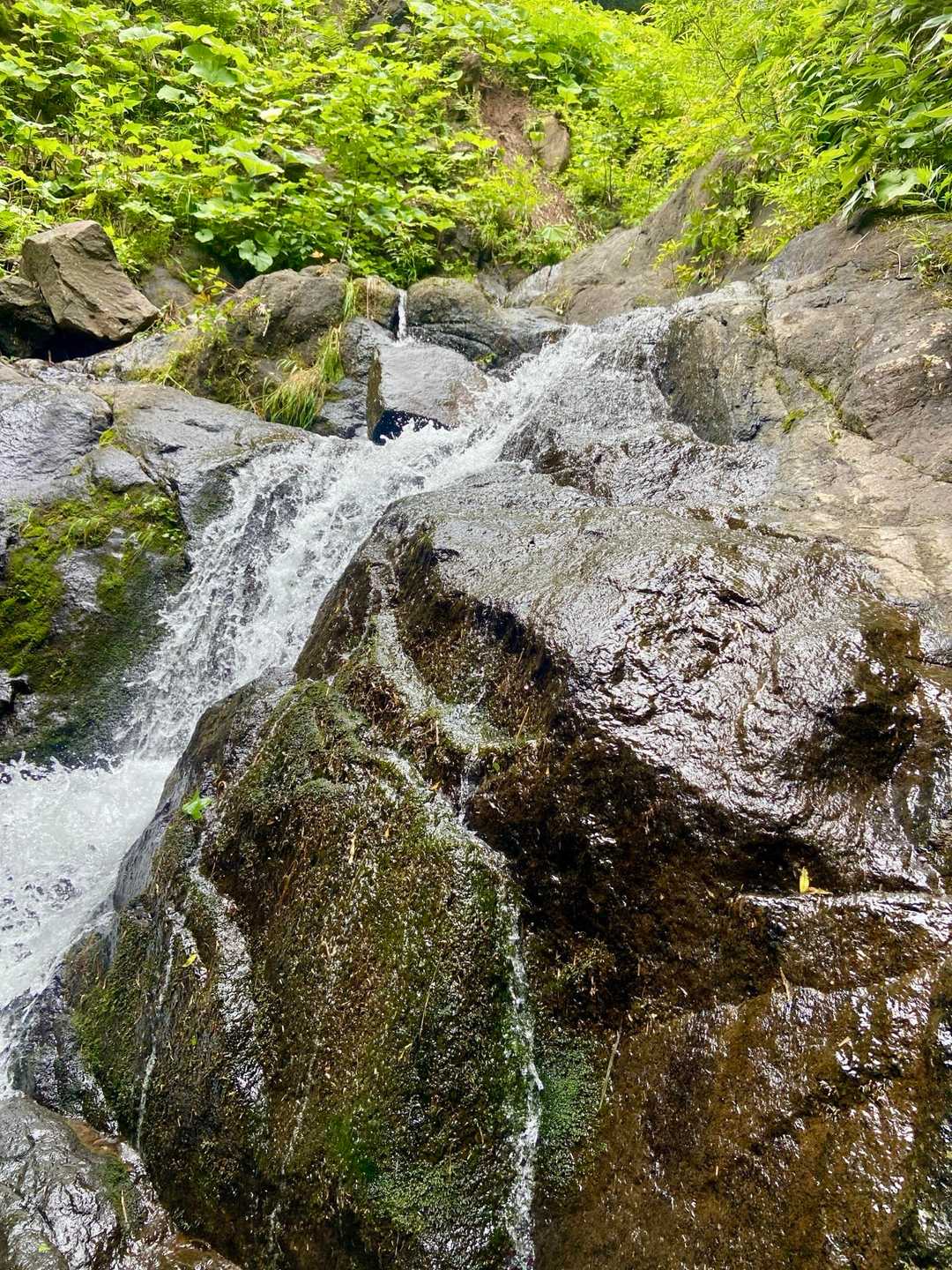漁川口-林道沢出合-漁岳 往復コースの写真