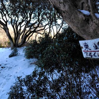 パノラマコースで下ります