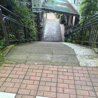 スズメバチに刺され痛みを引きずって自分のクルマを目指す