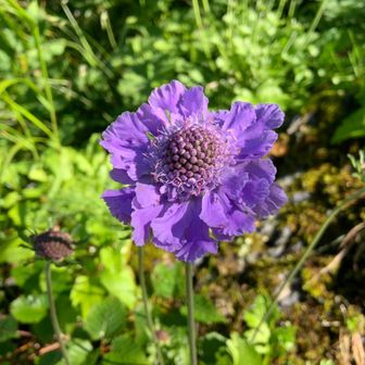 朝だワンby美ら