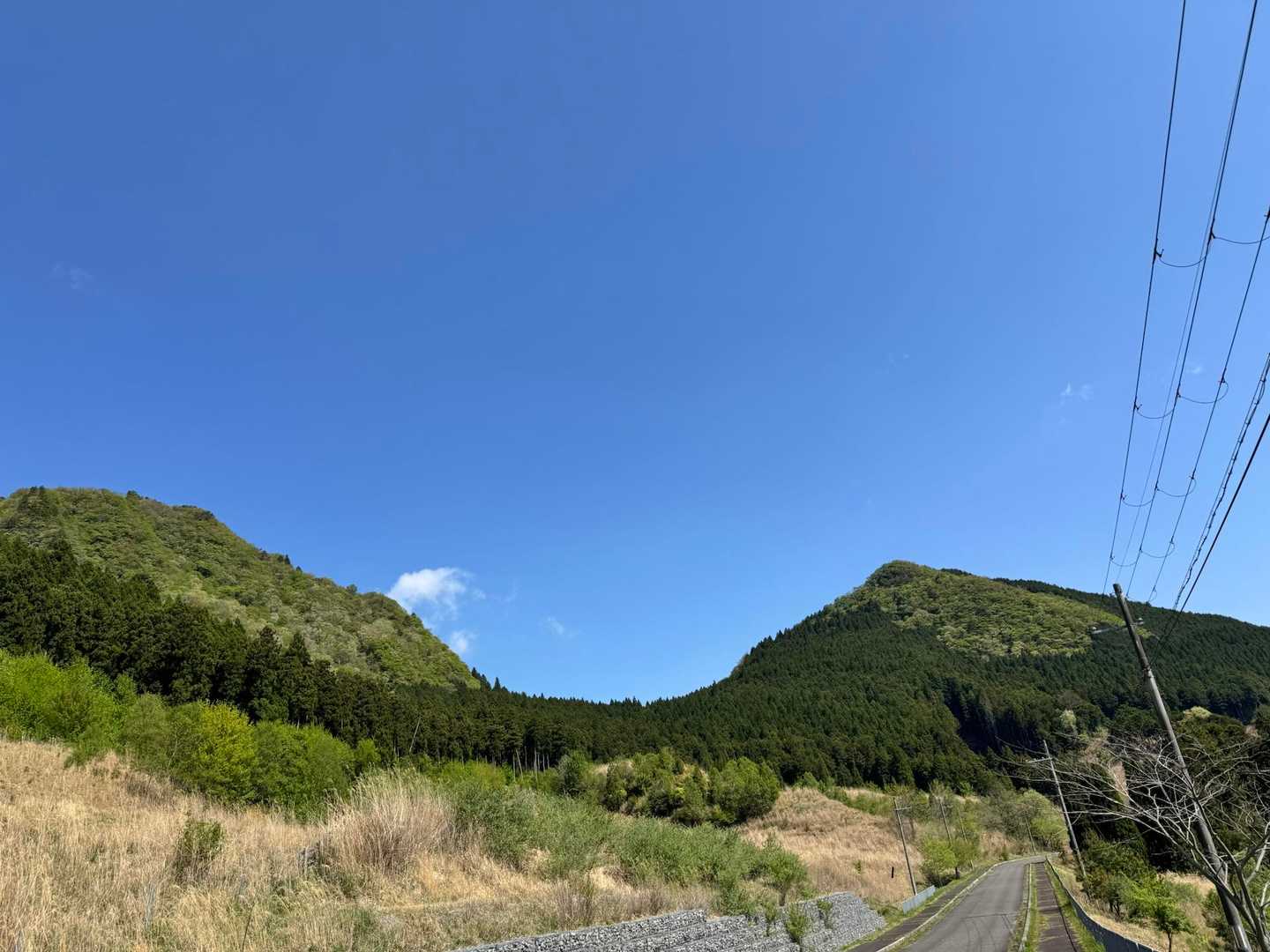 後古光山-古光山-亀山-亀山峠 周回コースの写真